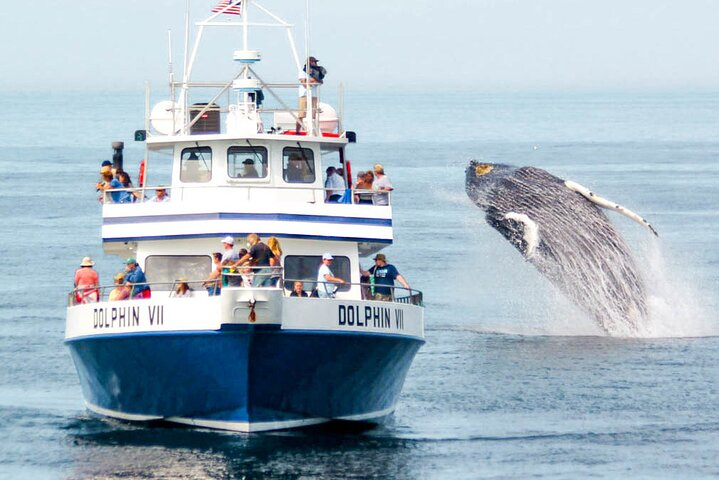 3-hour Private Sunset Cruise from Mirissa - Photo 1 of 7